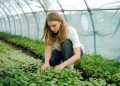Bachelor of Science in Horticulture