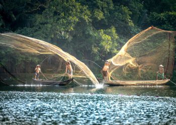 Bachelor of Science in Aquaculture (B.Sc. Aquaculture)