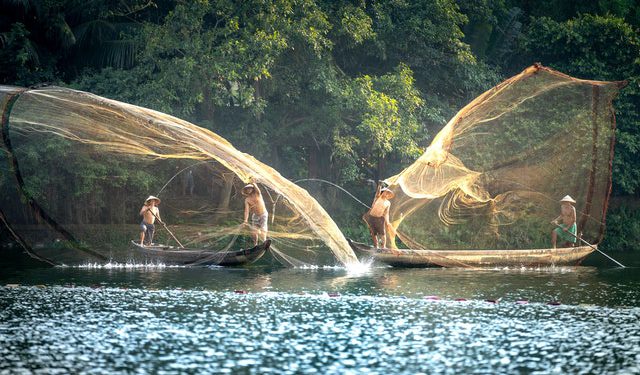 Bachelor of Science in Aquaculture (B.Sc. Aquaculture)
