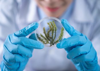 Doctorate of Philosophy in Biology (PhD in Biology)